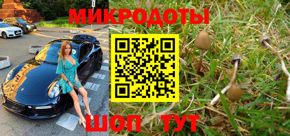 Галлюциногенные грибы MAGIC MUSHROOMS  Вход с VPN  Лабытнанги 